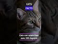 Fun Cat Facts!! Does your cat do this? Let me know in the comments!!