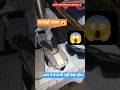 बाप रे क्या है ये😱#indianarmy #viral #youtubeshorts #lipsync #usa #short #ajaydevgan #faujilyfstyle