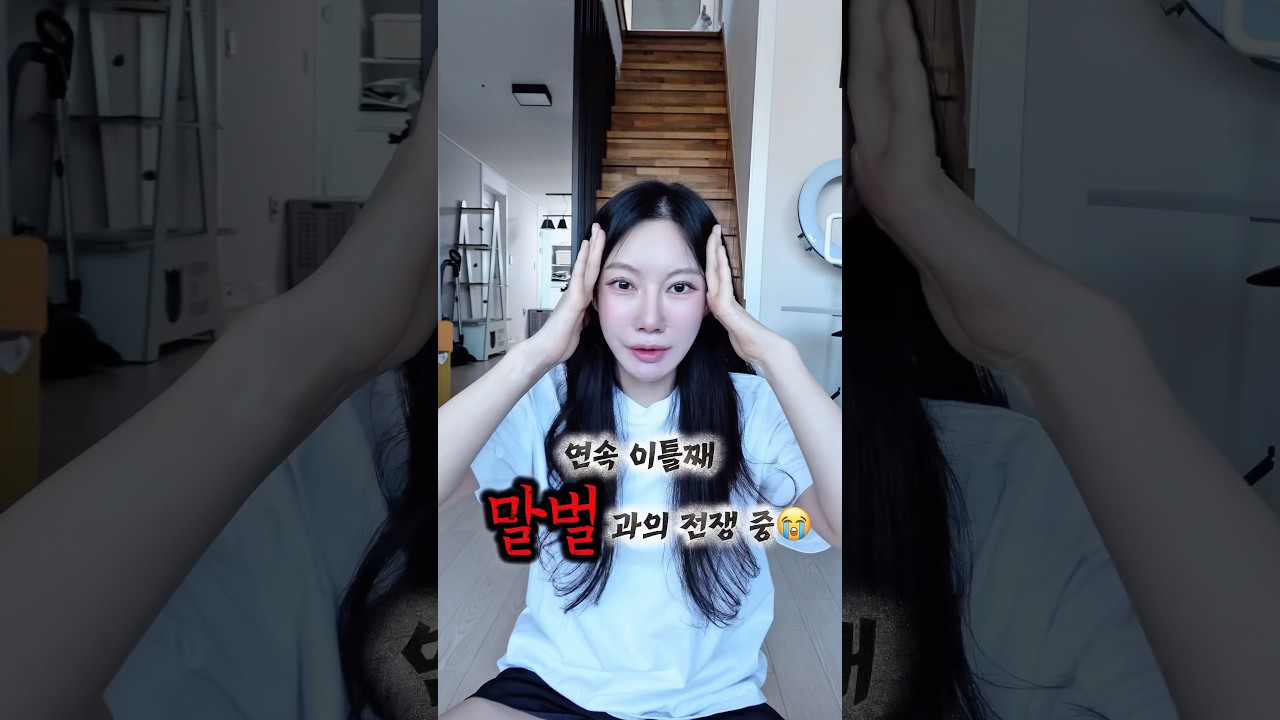 말벌이 저희집에 집 지었어요😭（감사합니다 119🙏🏻） #shorts