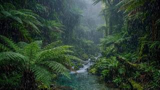 Rhythmic Rain on Dark Forest Leaves 🌧️ Wash Your Heavy Anxiety Away and Sleep Soundly Tonight