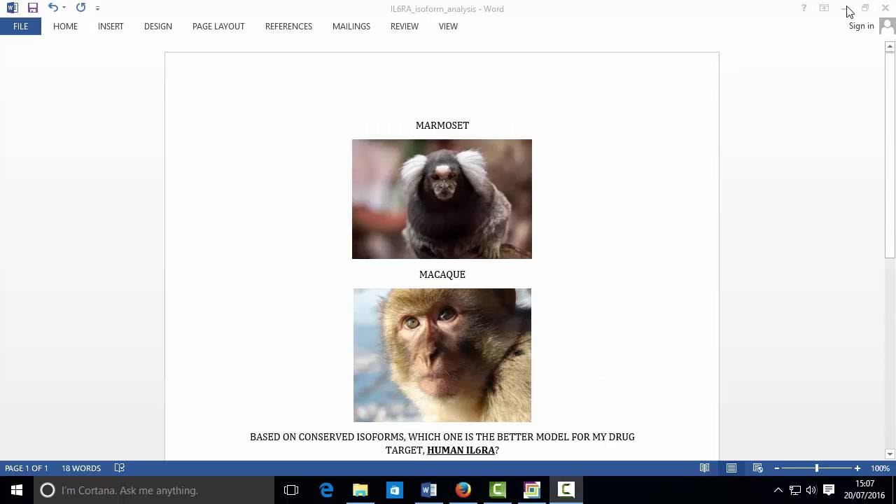 Using isoform conservation to find the most suitable animal model of a Human protein target