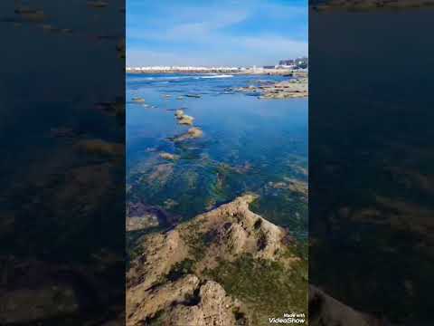 موسيقى للراحة النفسية والطمأنينة