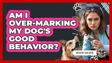 Am I Over-marking My Dog