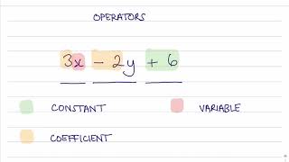 What are the component parts of an algebraic expression
