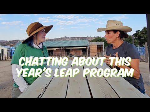 Chatting About The LEAP Program With Lead Instructor Amanda. - YouTube