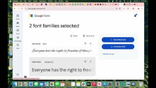 Adding a stylesheet and fonts