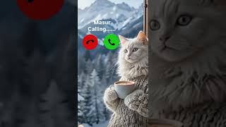 masur calling✨🤙viral 🔥ringtone mi#🤙viralshortvedeo#yt#short#vedeo#cute#cat#masur#calling#mi#ring#mi#