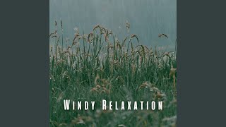 Harmonic Rainy Zen Melodies