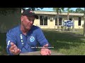 Experto de NOAA explica cuándo es más probable ver tiburones en Florida