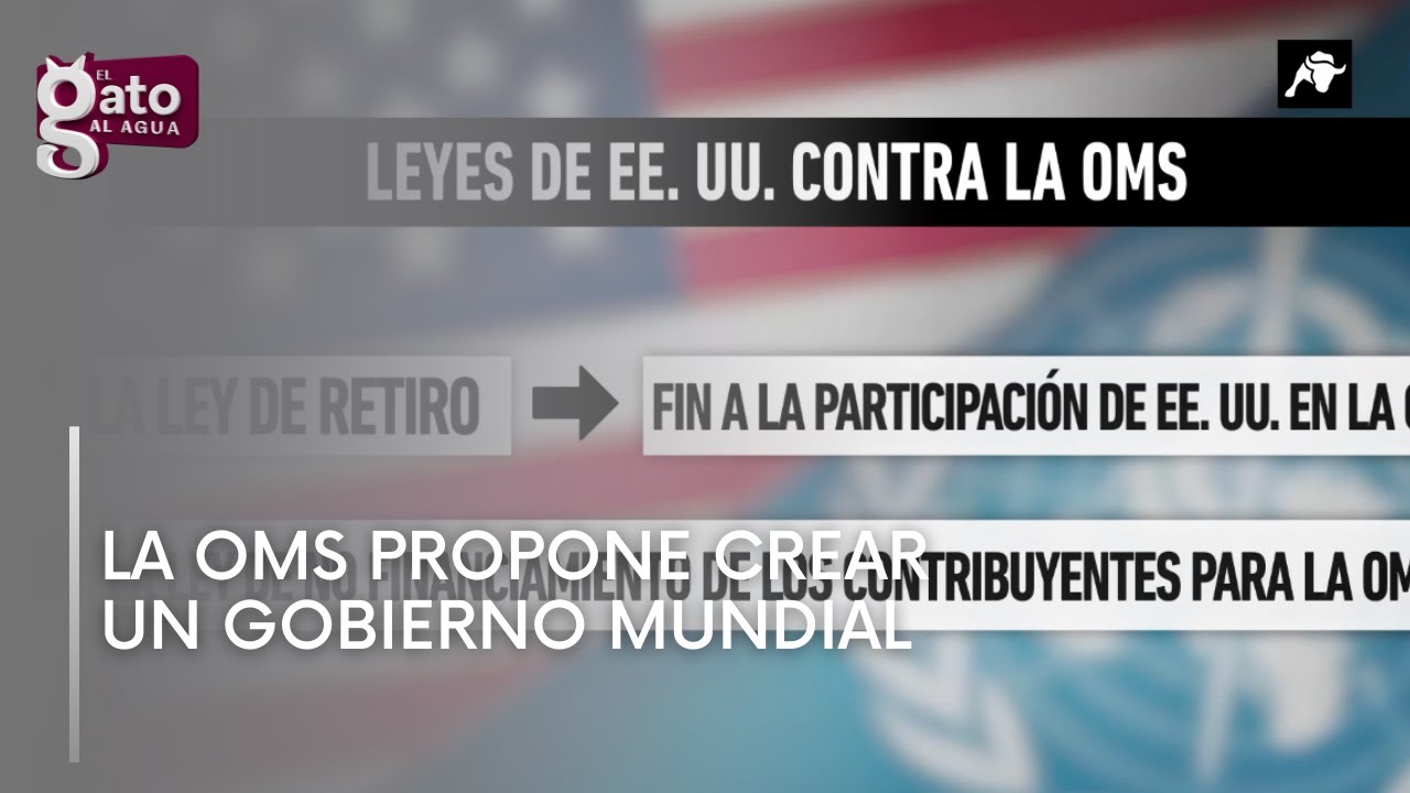 La OMS propone crear un Gobierno Mundial - YouTube