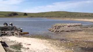 Drakes Bay Oyster Co