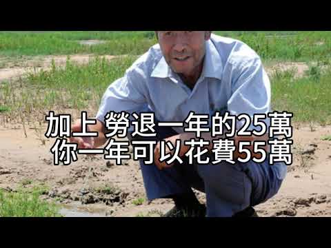 00335B 【退休資產配置與現金流管理建議；：如何優化資產配置？】 2024年12月25日
