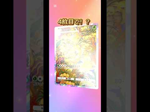 【ポケポケ】幻のいる島 毎日開封！#ポケカ #ポケモンカード #ポケモン　2024年12月19日