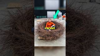 Rarest Photos Ever Captured 😱 Rarest Photos Ever Captured 😱