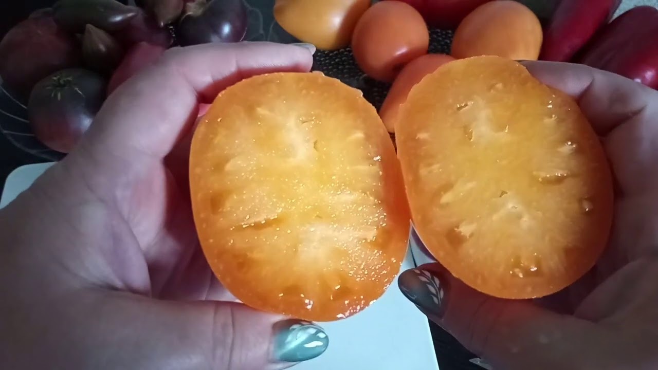Томат Сердце Ашхабада Фото