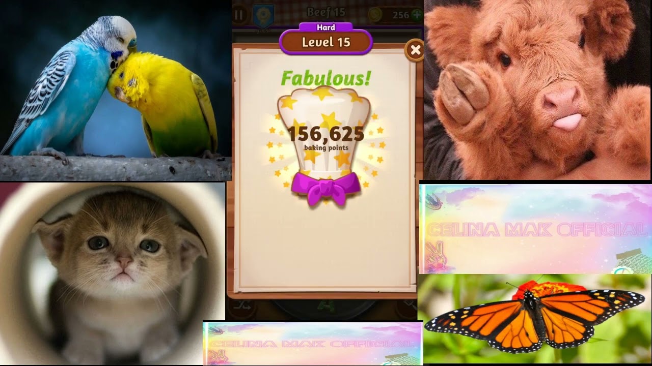 {Word Cookies} Stunning Chef Beef levels - level 1 to 20 (celina mak official)