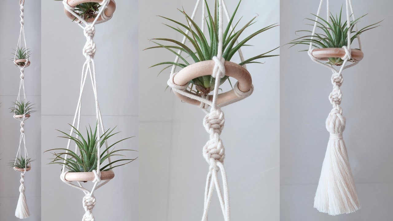 DIY Air Plant Hangers - Homey Oh My