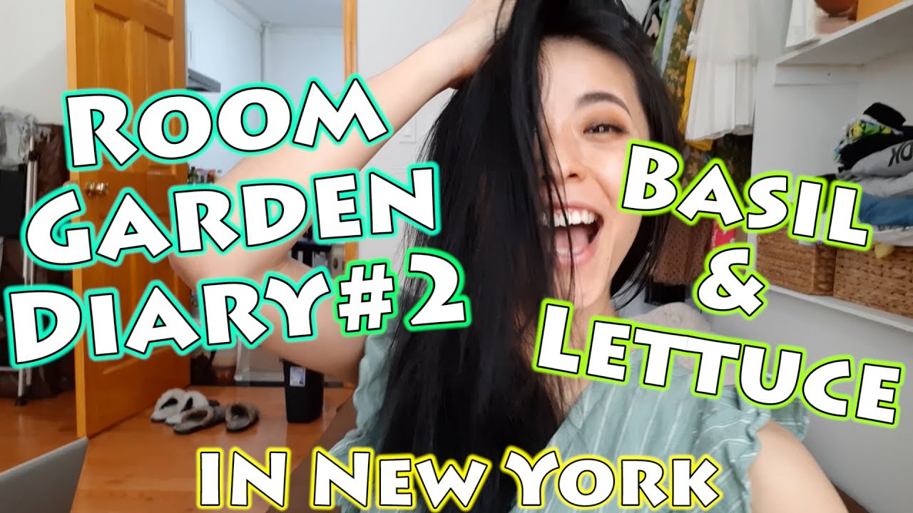 【Room Garden Diary2】Japanese woman Growing Basil & Lettuce!!! Room garden in New York apt! 自家栽培に挑戦！