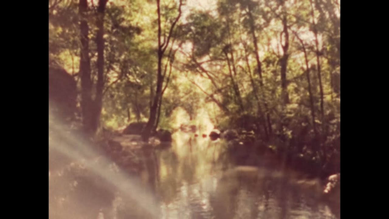 Back to the River - Jon Allen