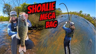 I Caught my BIGGEST BAG of shoalbass! 21lb+ 