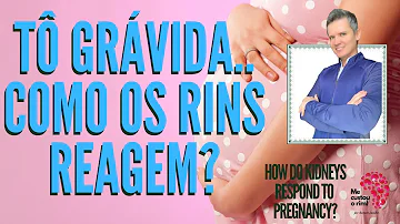 Qual a posição inicial do Metanefro?