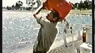 Razzamatazz Ad - Anti Static - Albert Park 19791980