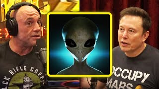 Elon Musk Admits He Is An Alien | Joe Rogan & Elon Musk