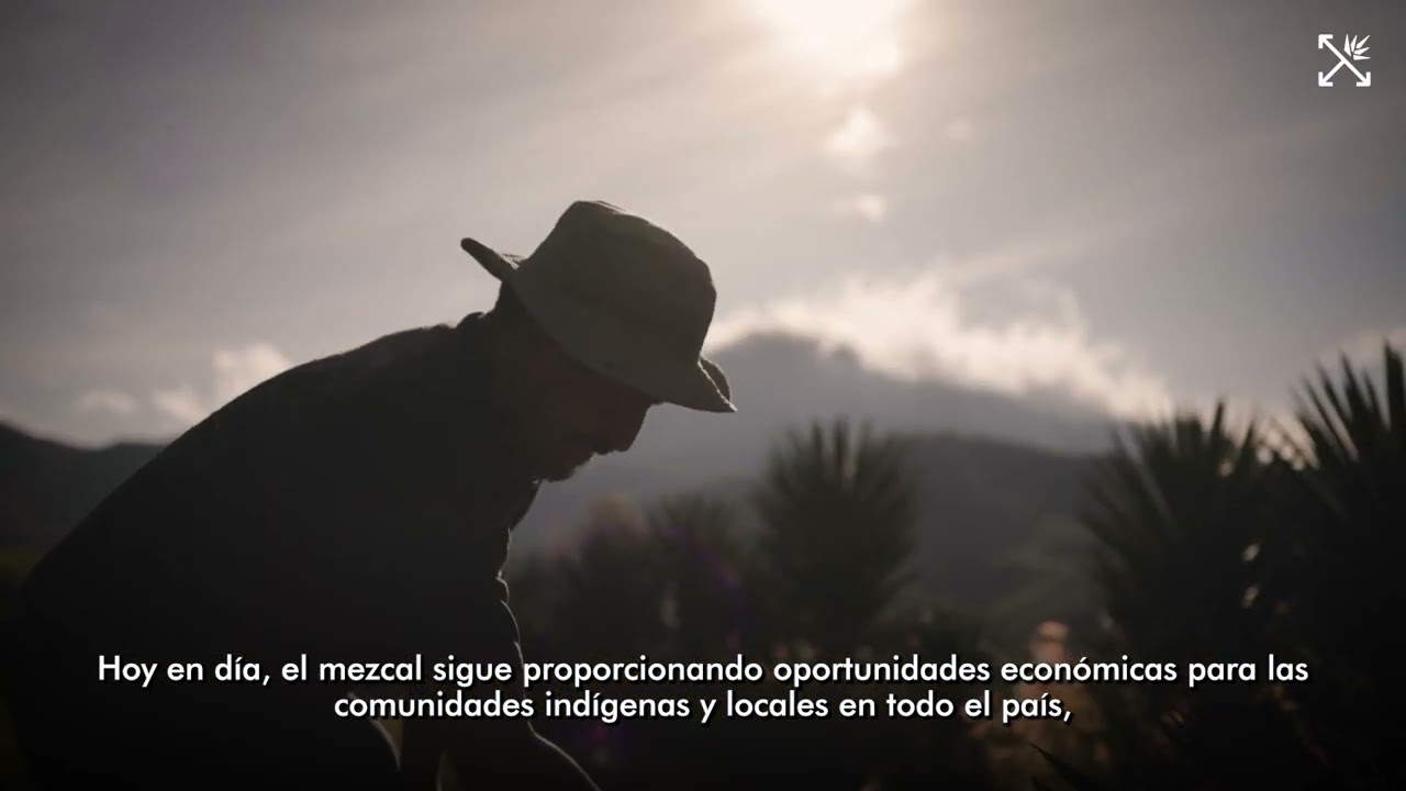 Mezcal, Mexico, and Indigenous Roots: Why This Spirit Can’t Be Replicated