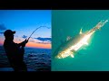 Fishing massive schools of bluefin tuna  cape cod ma  s20 e09