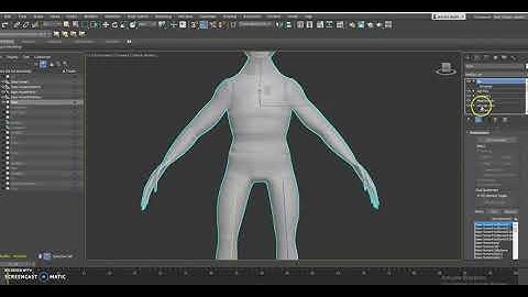 Skinning Issues 3Ds Max
