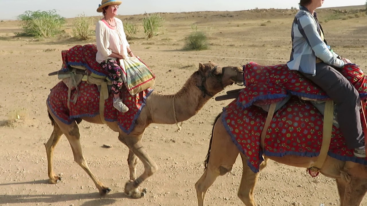 Ladies of the Thar Desert, India