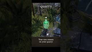 quarry — Divinity: Original Sin 2 dialogue scene
