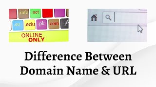 Difference Between Domain Name and URL | Make Sense of the Web: Uncover Domain Name vs URL