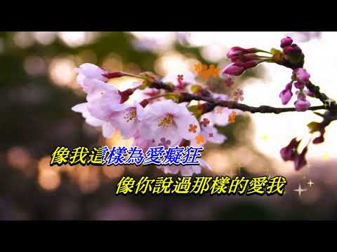 為愛痴狂   麥子傑〈演唱版〉