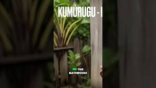 Utilizing the suffix RUGU in Garifuna In and Around a Place!