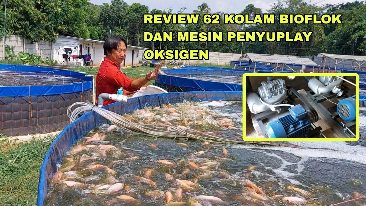 REVIEW 62 KOLAM BIOFLOK DAN MESIN PENYUPLAY OKISGEN