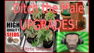 Male Removed | Garden Updates | Growing under Mars Hydro | TWTGC