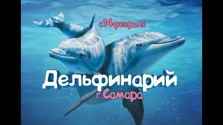 Дельфинарий в Самаре с 14 февраля 2019 (тк Амбар) Дельфинарий в Самаре с 14 февраля 2019 (тк Амбар)