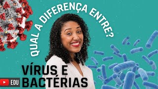 Diferenças entre vírus e bactérias