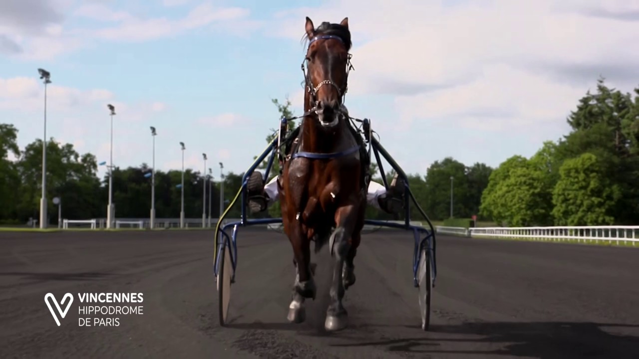 LeTROT filmé en caméra HIGH SPEED