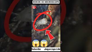 Beginilah tampilan ROKOK ketika dilihat di microscope #viralvideo #microscope #shortvideo #shorts