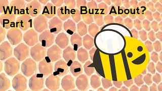 What's All the Buzz About? Part 1