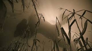 Foxfinder Trailer