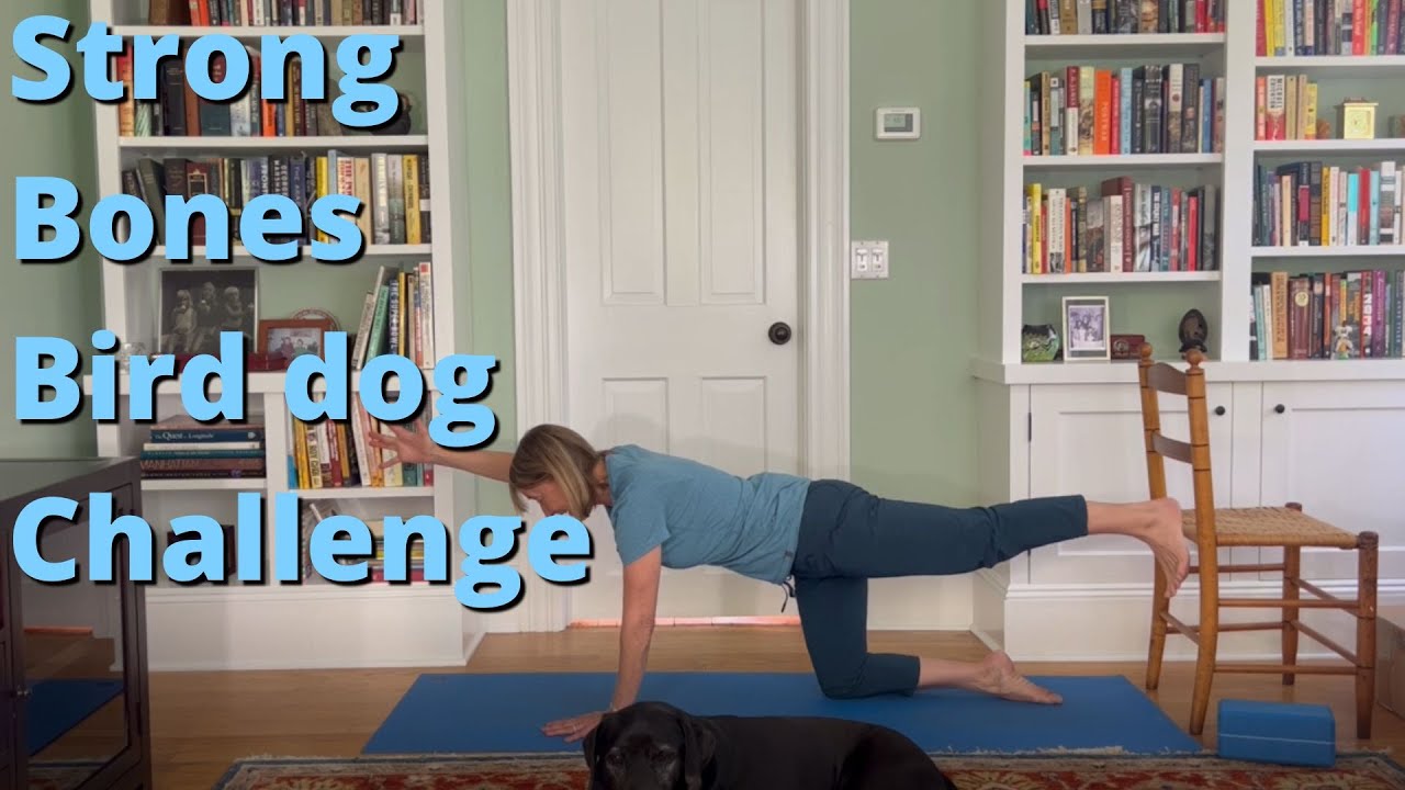 Strong Bones Bird Dog Challenge YouTube