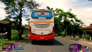 #viral story wa bus harapan jaya versi #tamuundangan