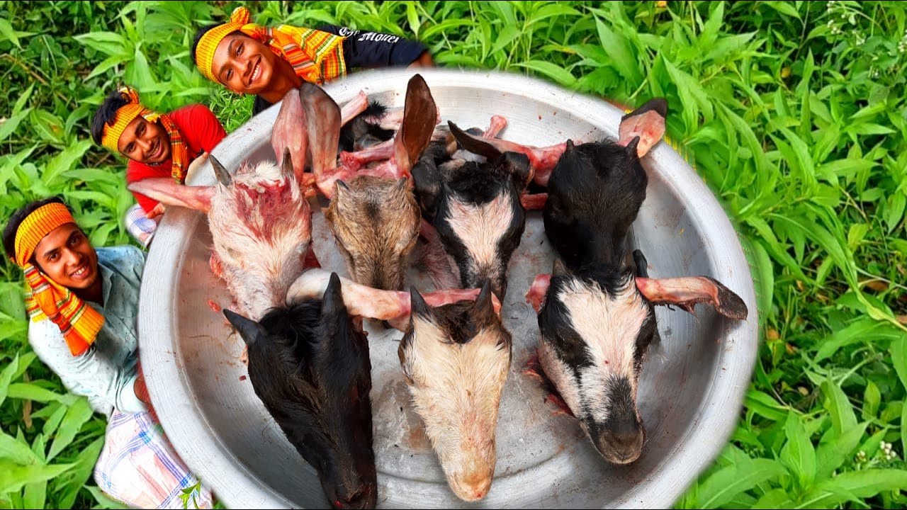 THE BEST 7 GOAT HEADS RECIPE IN VILLAGE COOKING WITH CURRY - YouTube