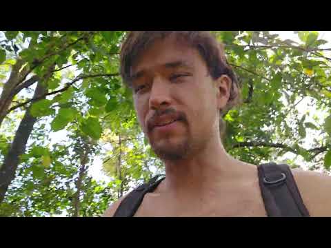 One Step At A Time - ELECTROCUTED BY A COCONUT - Coconut Hunting VLOG p1/2 [March 24]