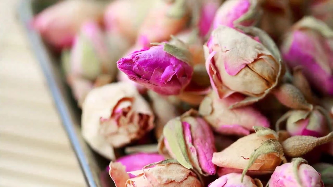 Gläser für alte und Junge Weine