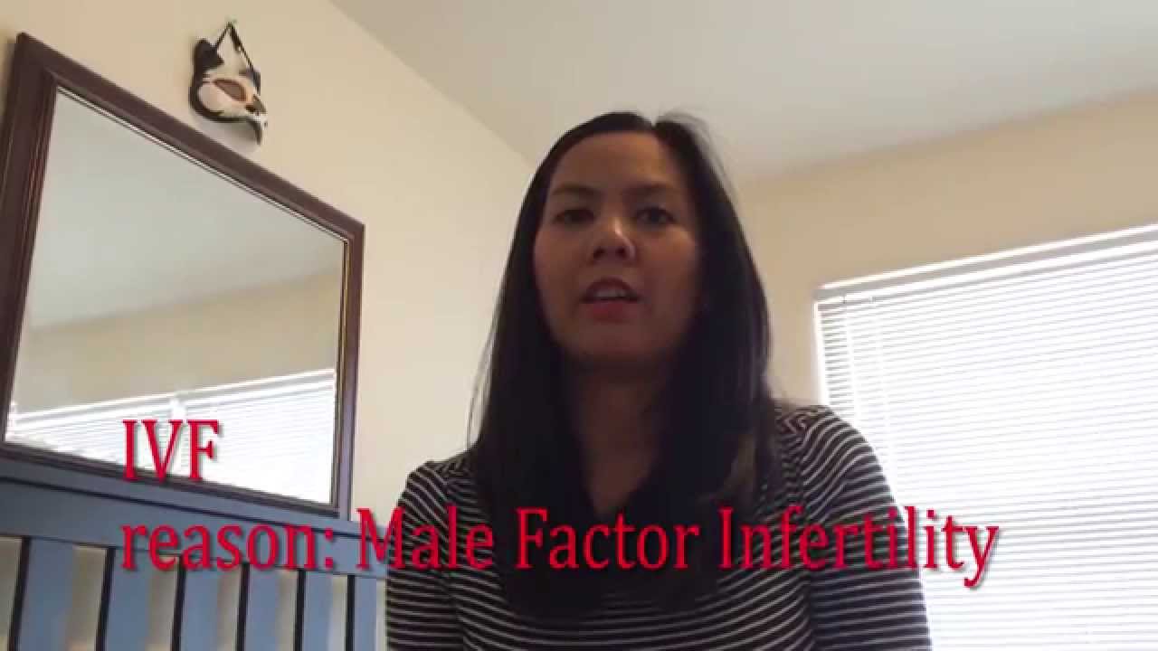 IVF in Seattle EP1 (The Intro) Male infertility icsi YouTube