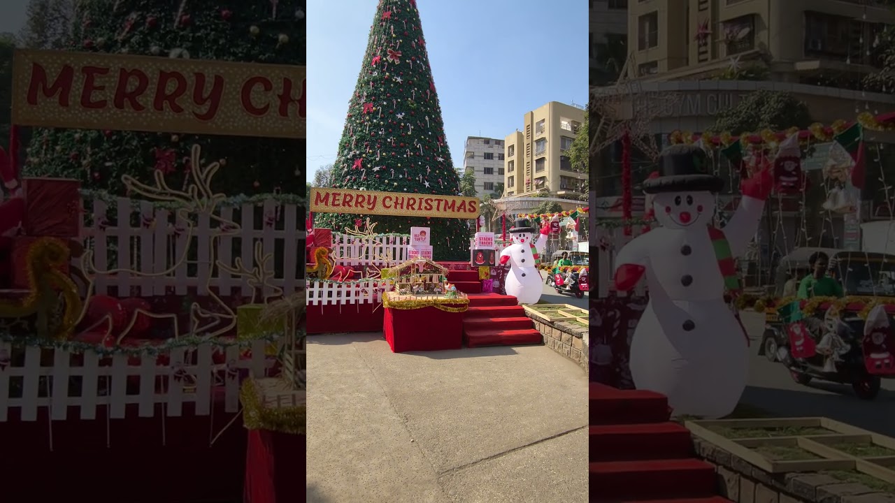 Большая и красивая рождественская елка 🎄 возле церкви Орлем в Малад Вест